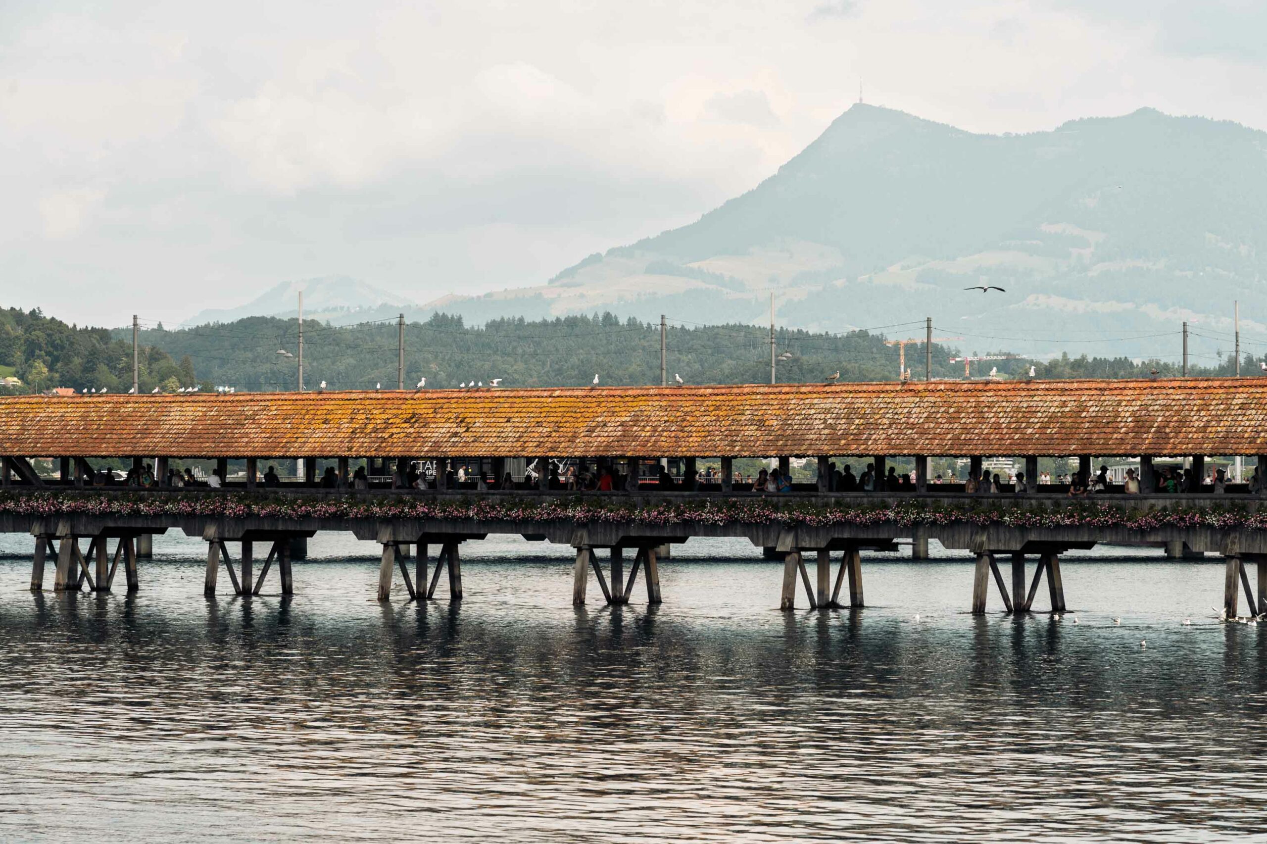 La vieille ville de Lucerne, le pont de la Chapelle et le mont Pilatus