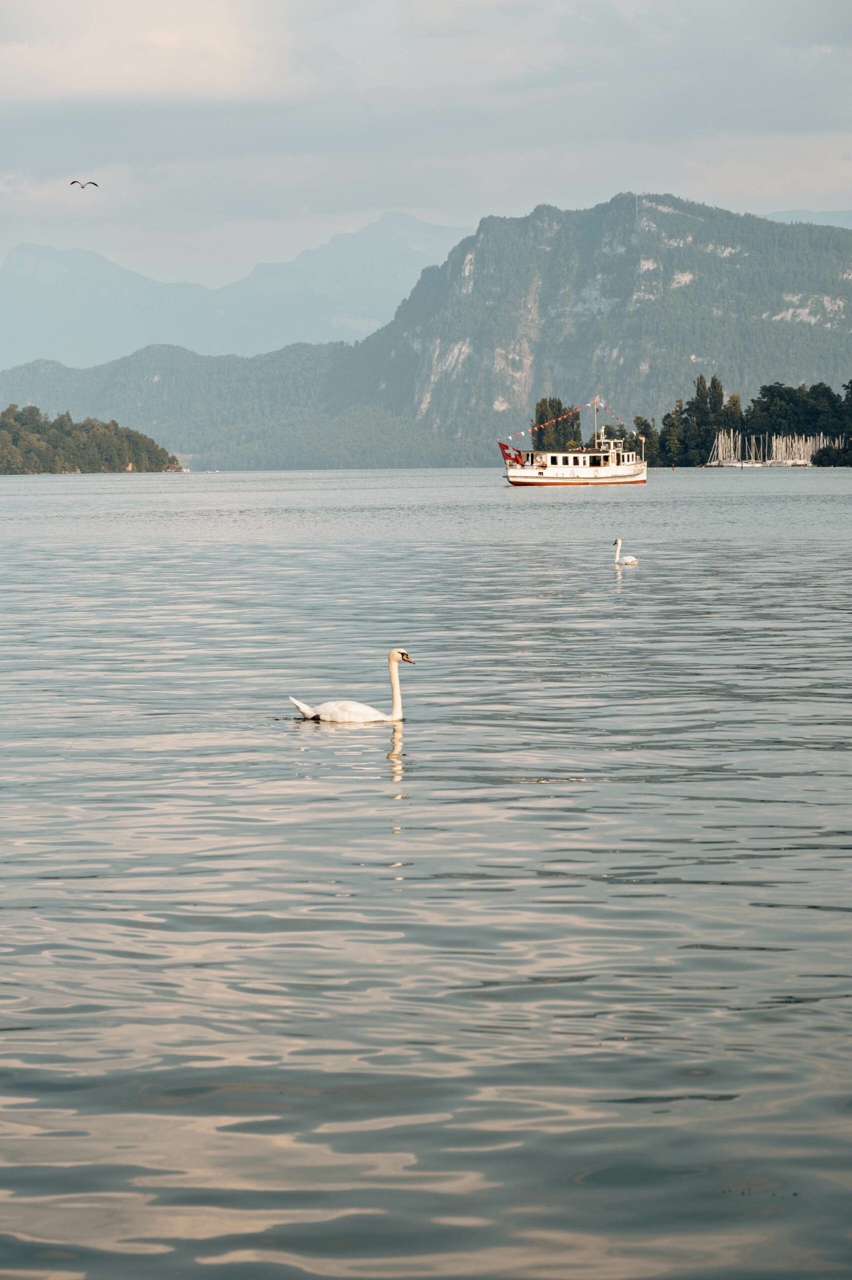 Trois jours à Lucerne, appareil au poing — carnet de voyage photo en Suisse